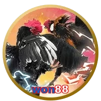 won88